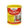 Recuplast Frentes 20Lt
